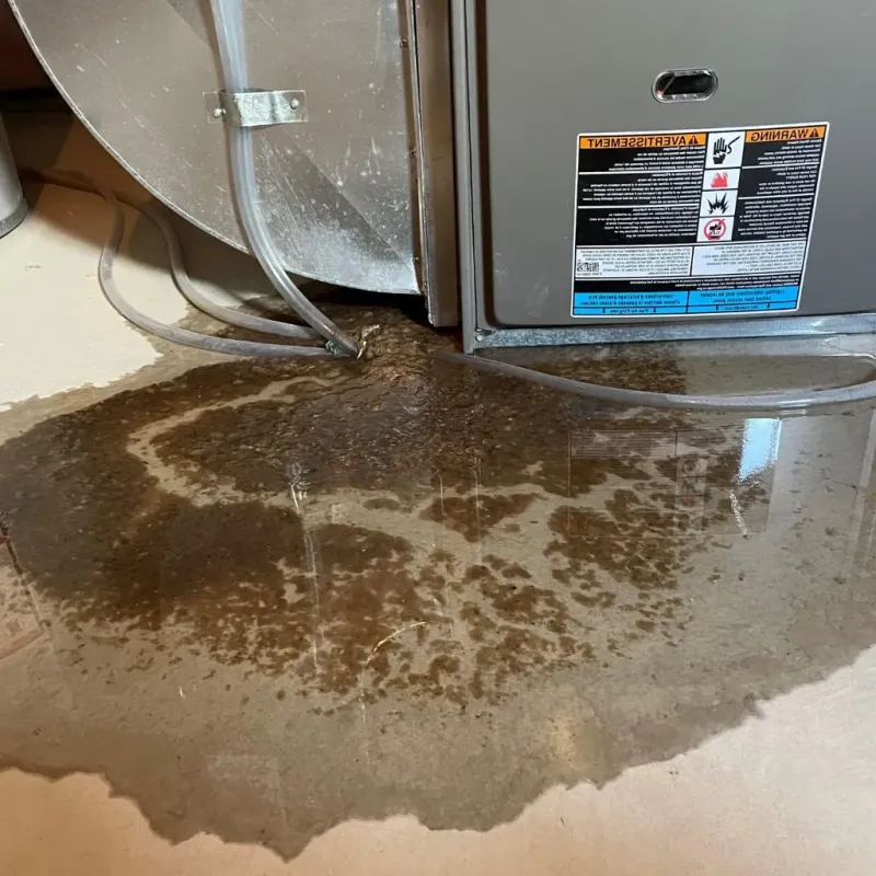 Pipe Burst and Leak Restoration in Saugerties, NY